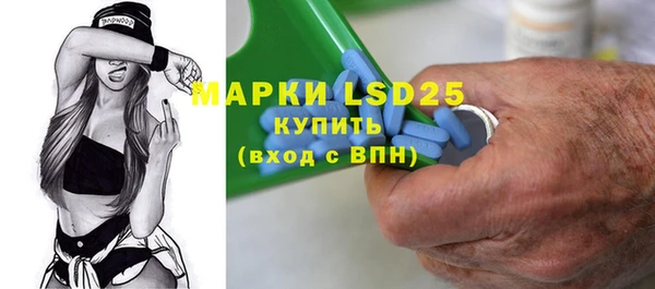хмурый Абаза