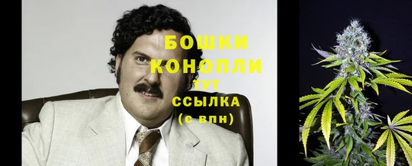 хмурый Абаза