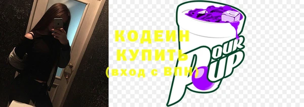 хмурый Абаза