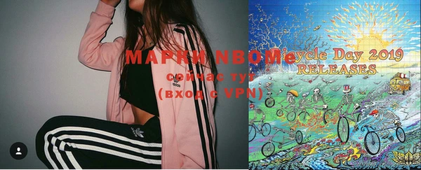хмурый Абаза