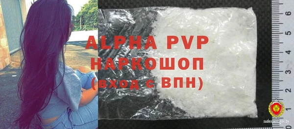 хмурый Абаза