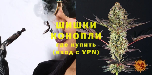 хмурый Абаза