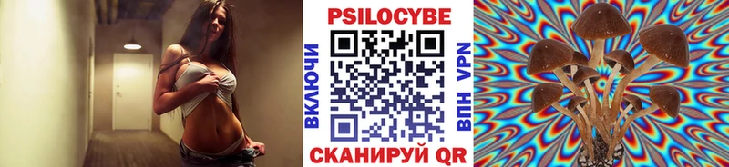 сайты даркнета телеграм  Пошехонье  Псилоцибиновые грибы GOLDEN TEACHER 